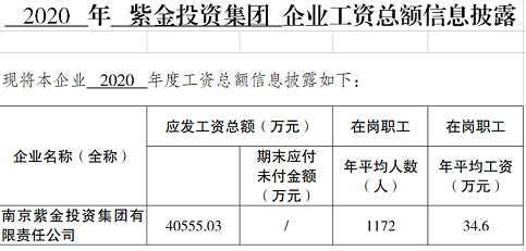 2020年紫金投資集團工資總額信息披露（人力確認(rèn)）.png